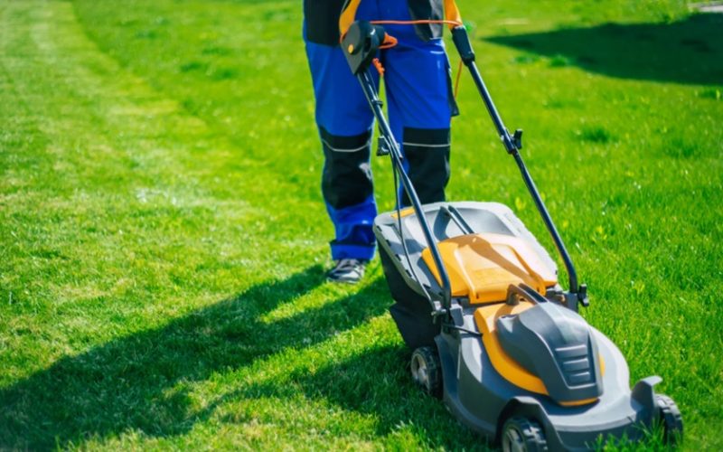 Lawn Maintenance